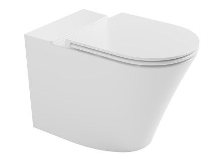 Bruckner Fein wc kombi mísa 61 x 36 cm rimless spodní zadní odpad bílá 201.424.4