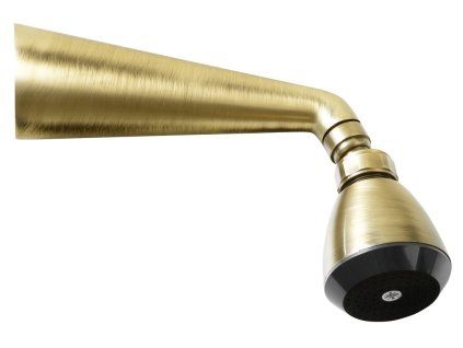 Sapho nástěnná sprchová růžice s otočným kloubem 1 funkce bronz 9046