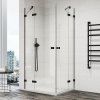 SanSwiss ANNEA Black jednokřídlé dveře 100 cm - černá/sklo transparent AN13WG10000607