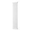 24810 koupelnovy radiator tubus 2 bila barva